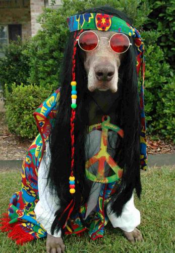 Hippie Freak